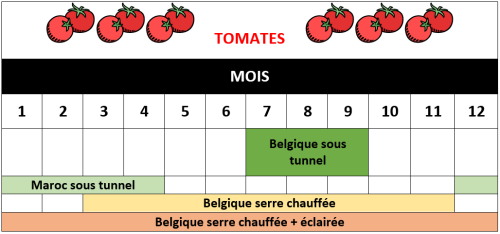 tomates de saison